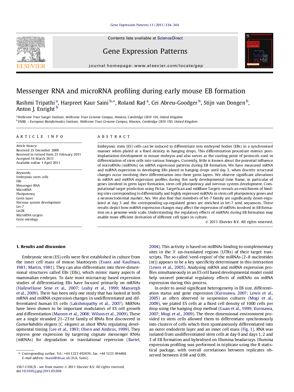 Messenger RNA and microRNA profiling during early mouse EB formation