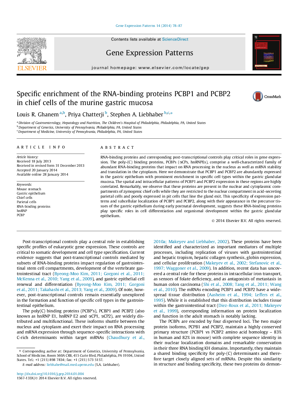 Specific enrichment of the RNA-binding proteins PCBP1 and PCBP2 in chief cells of the murine gastric mucosa