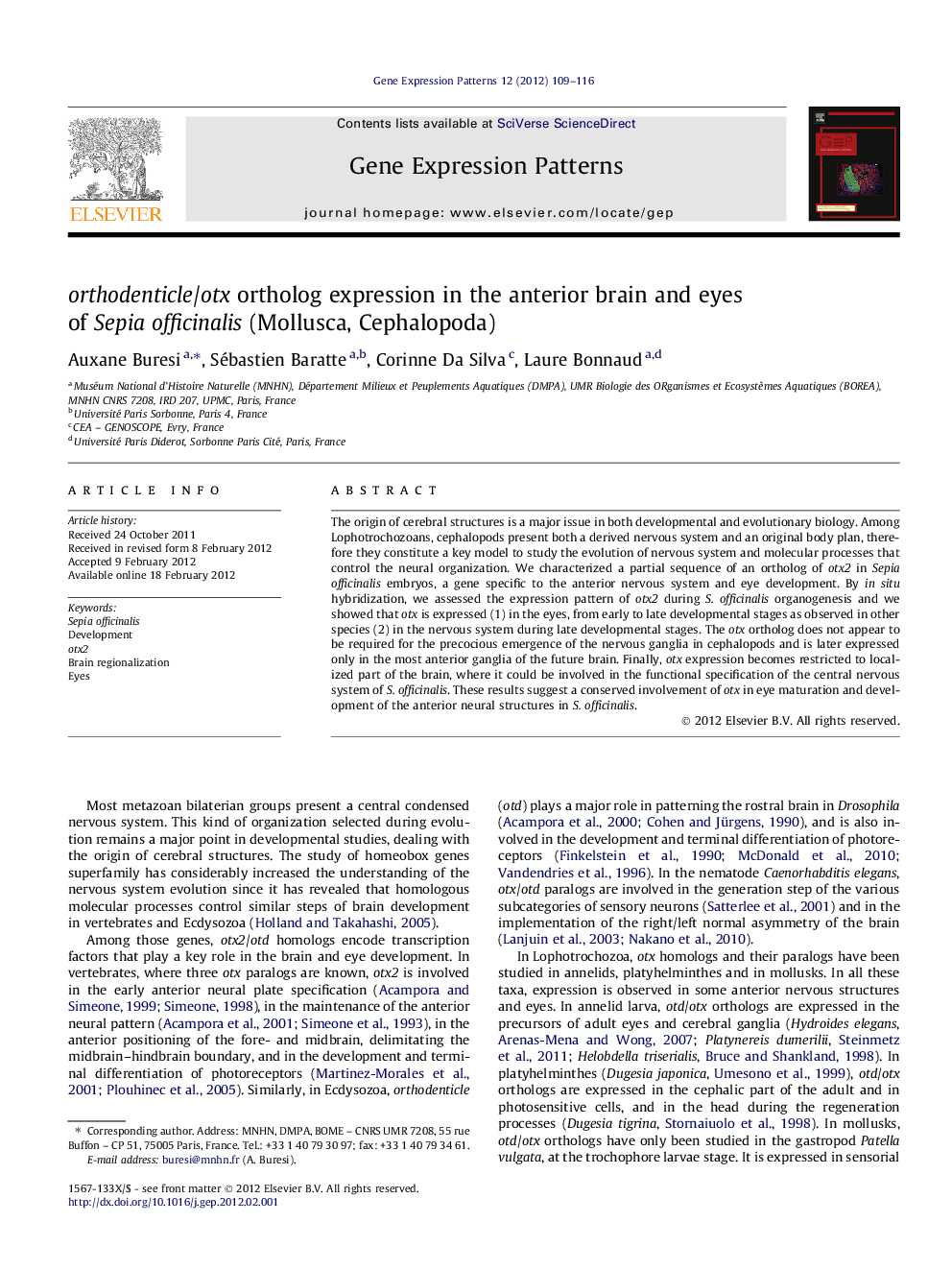 orthodenticle/otx ortholog expression in the anterior brain and eyes of Sepia officinalis (Mollusca, Cephalopoda)