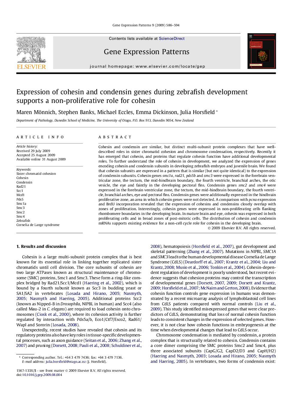 Expression of cohesin and condensin genes during zebrafish development supports a non-proliferative role for cohesin