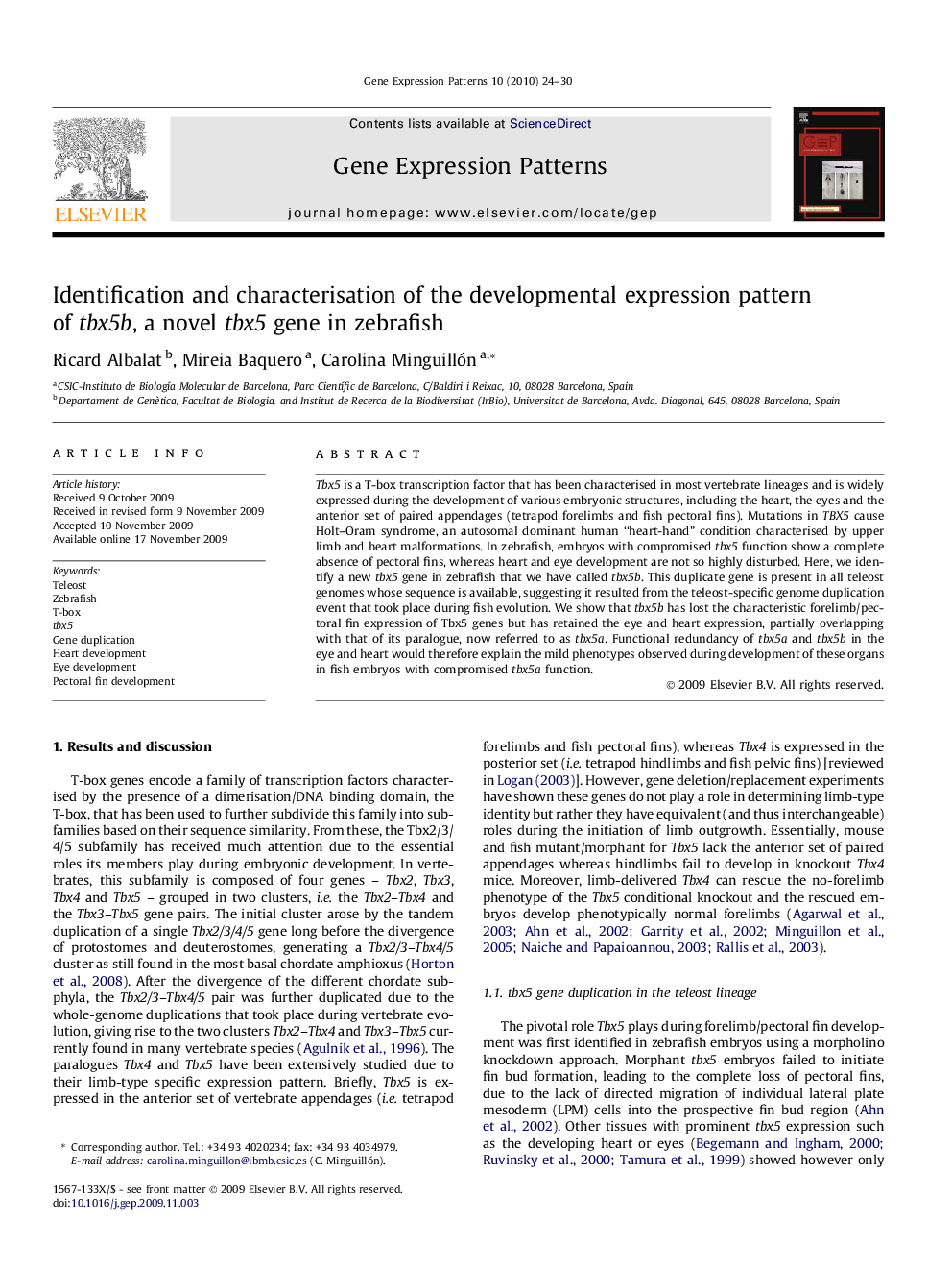 Identification and characterisation of the developmental expression pattern of tbx5b, a novel tbx5 gene in zebrafish