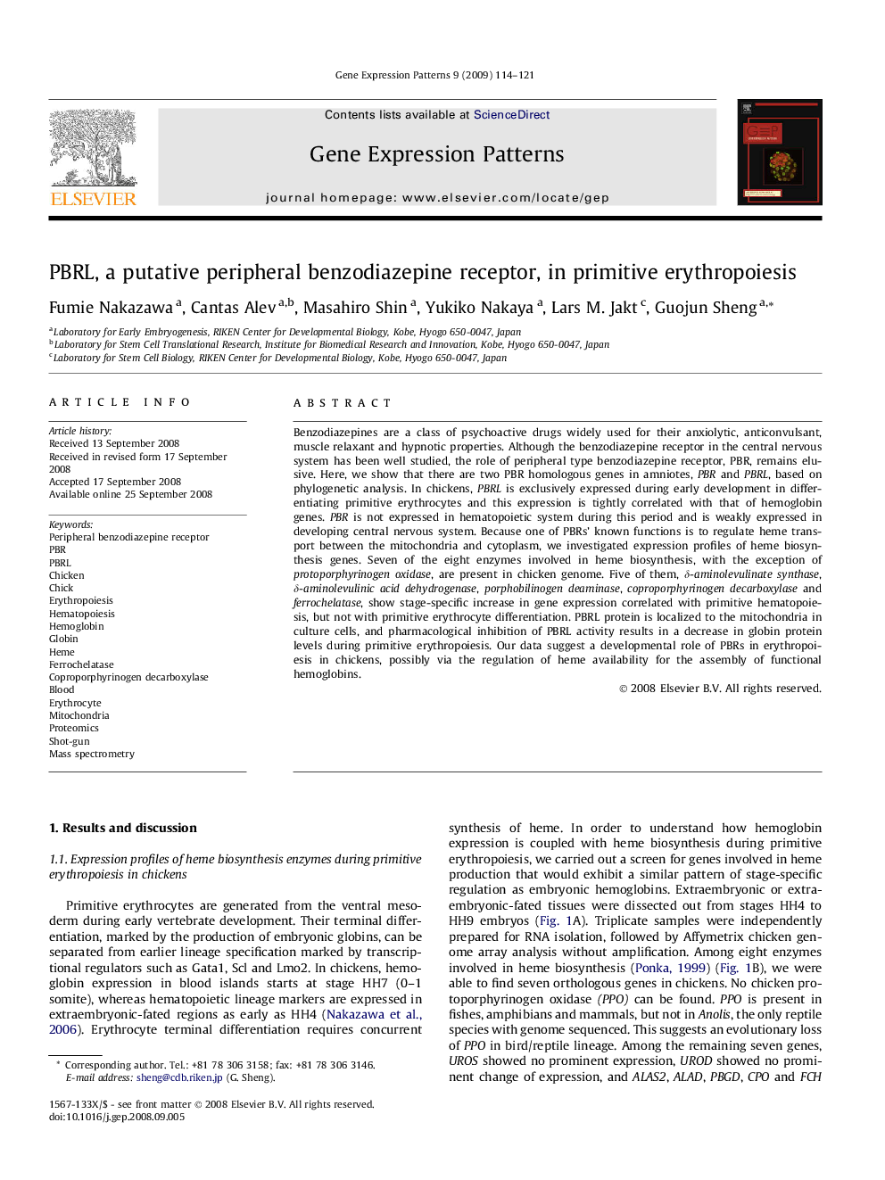 PBRL, a putative peripheral benzodiazepine receptor, in primitive erythropoiesis