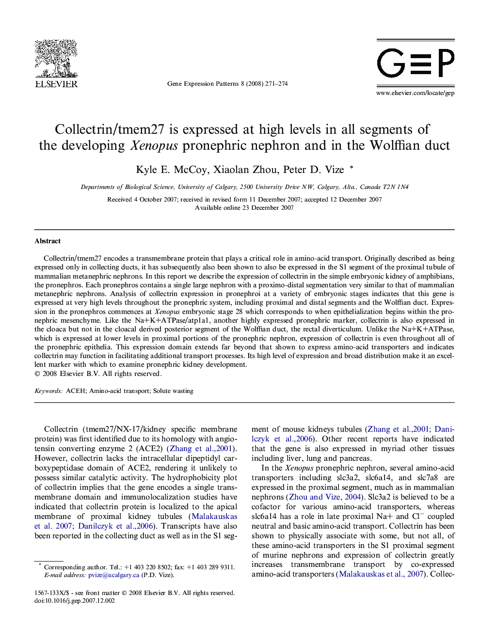 Collectrin/tmem27 is expressed at high levels in all segments of the developing Xenopus pronephric nephron and in the Wolffian duct