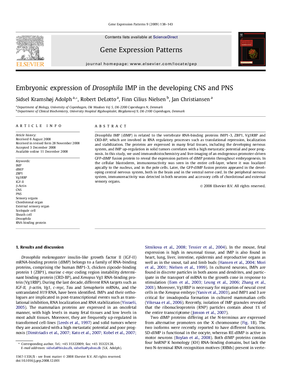 Embryonic expression of Drosophila IMP in the developing CNS and PNS