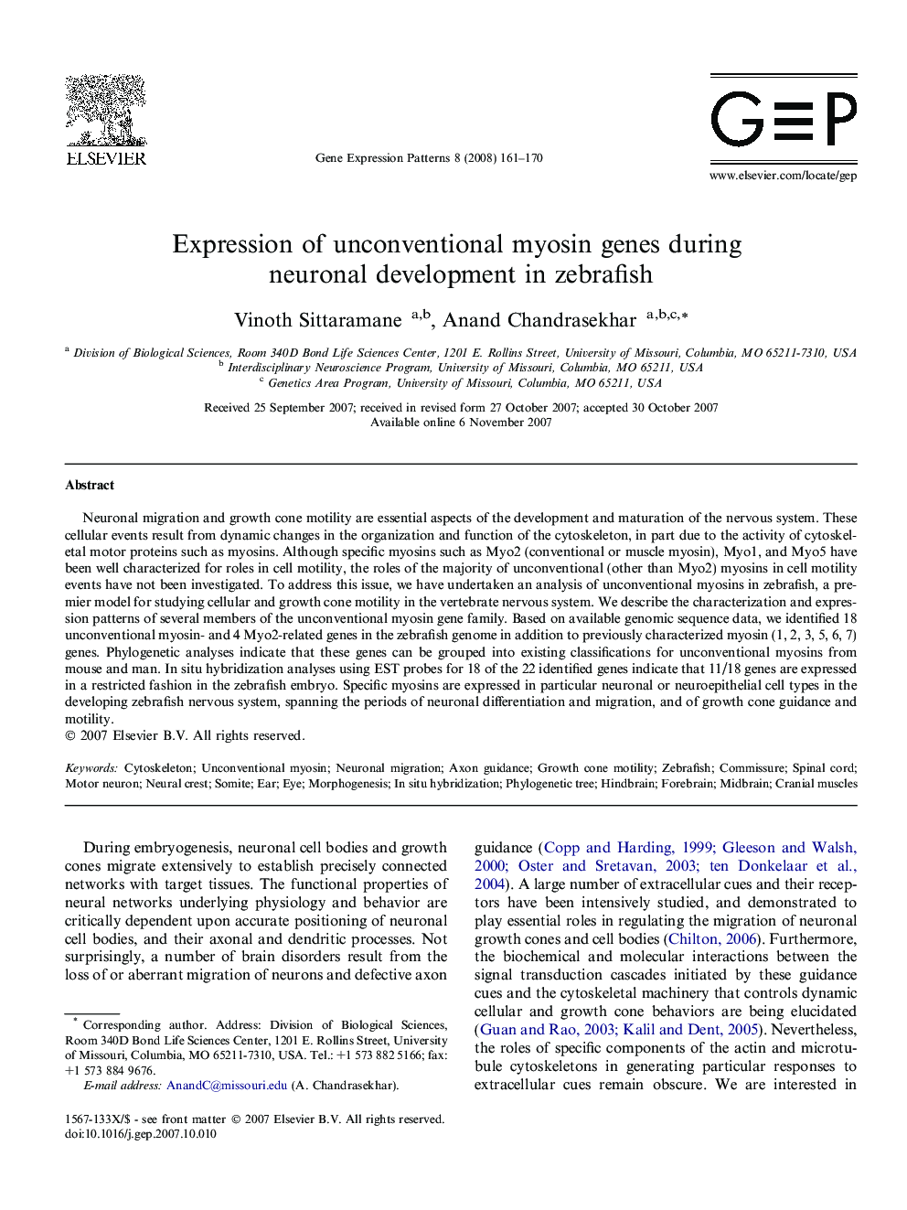 Expression of unconventional myosin genes during neuronal development in zebrafish