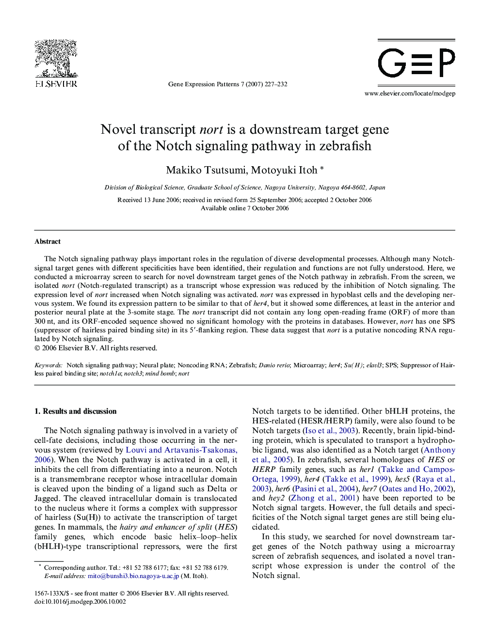 Novel transcript nort is a downstream target gene of the Notch signaling pathway in zebrafish