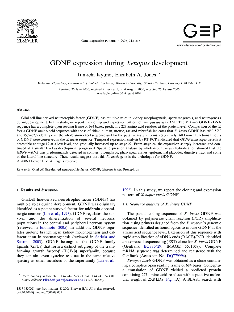 GDNF expression during Xenopus development