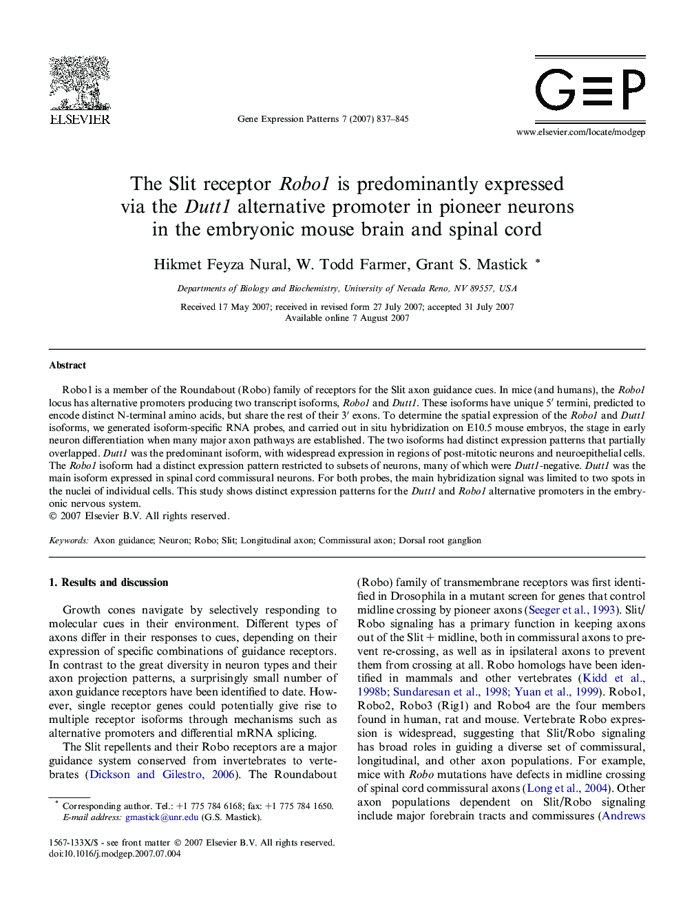 The Slit receptor Robo1 is predominantly expressed via the Dutt1 alternative promoter in pioneer neurons in the embryonic mouse brain and spinal cord