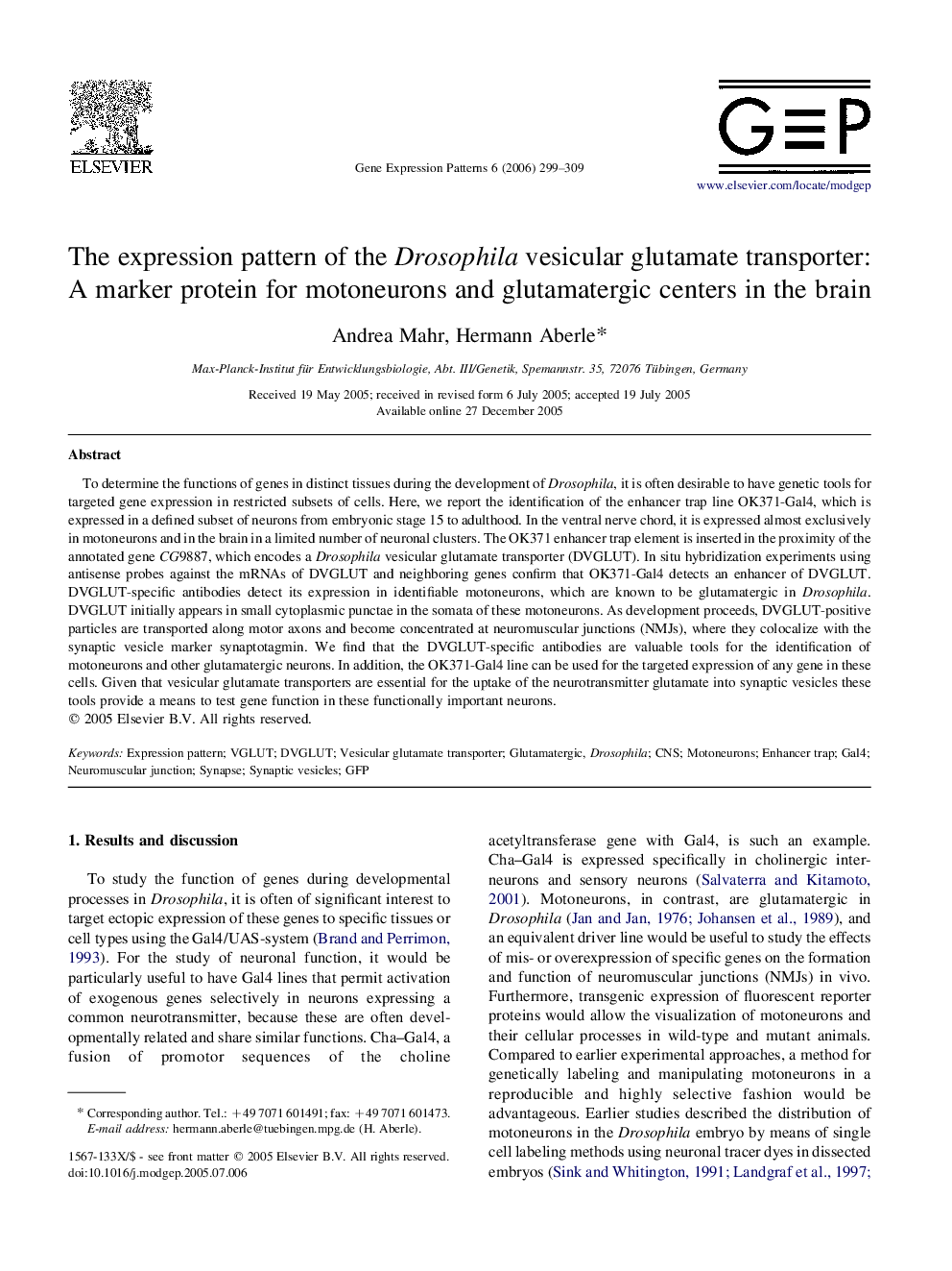 The expression pattern of the Drosophila vesicular glutamate transporter: A marker protein for motoneurons and glutamatergic centers in the brain