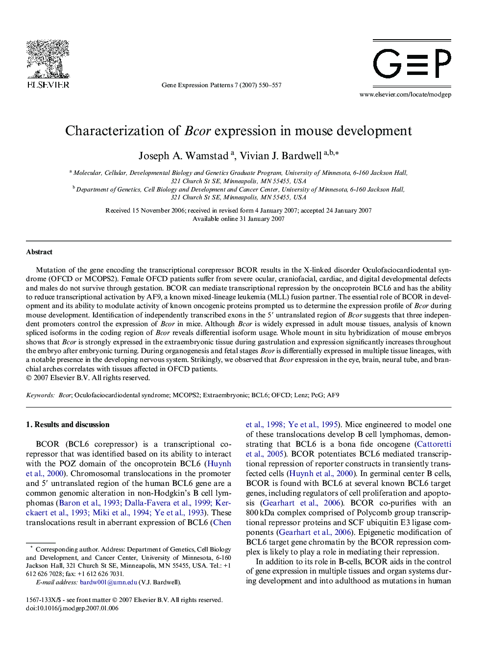 Characterization of Bcor expression in mouse development