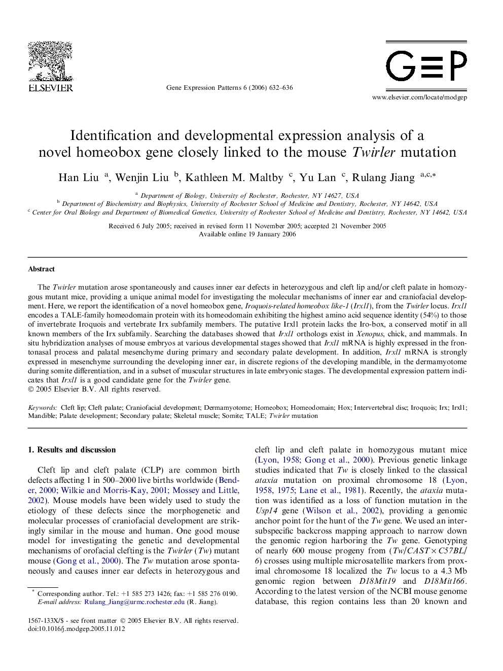 Identification and developmental expression analysis of a novel homeobox gene closely linked to the mouse Twirler mutation