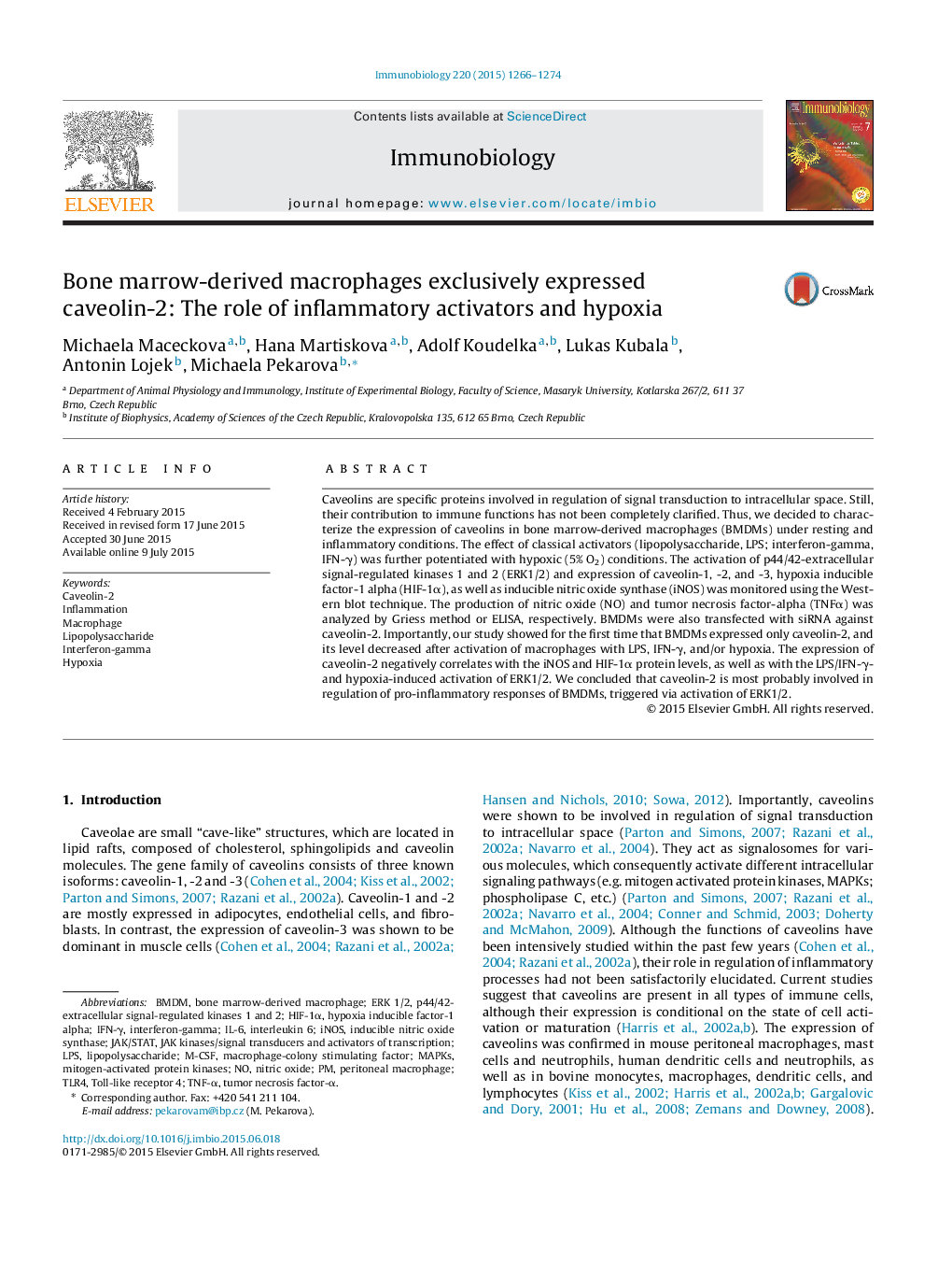 Bone marrow-derived macrophages exclusively expressed caveolin-2: The role of inflammatory activators and hypoxia