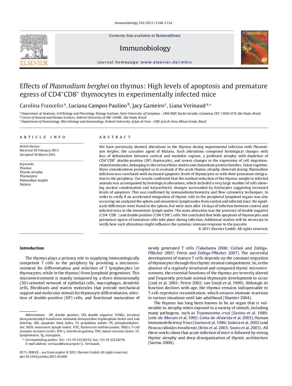 Effects of Plasmodium berghei on thymus: High levels of apoptosis and premature egress of CD4+CD8+ thymocytes in experimentally infected mice