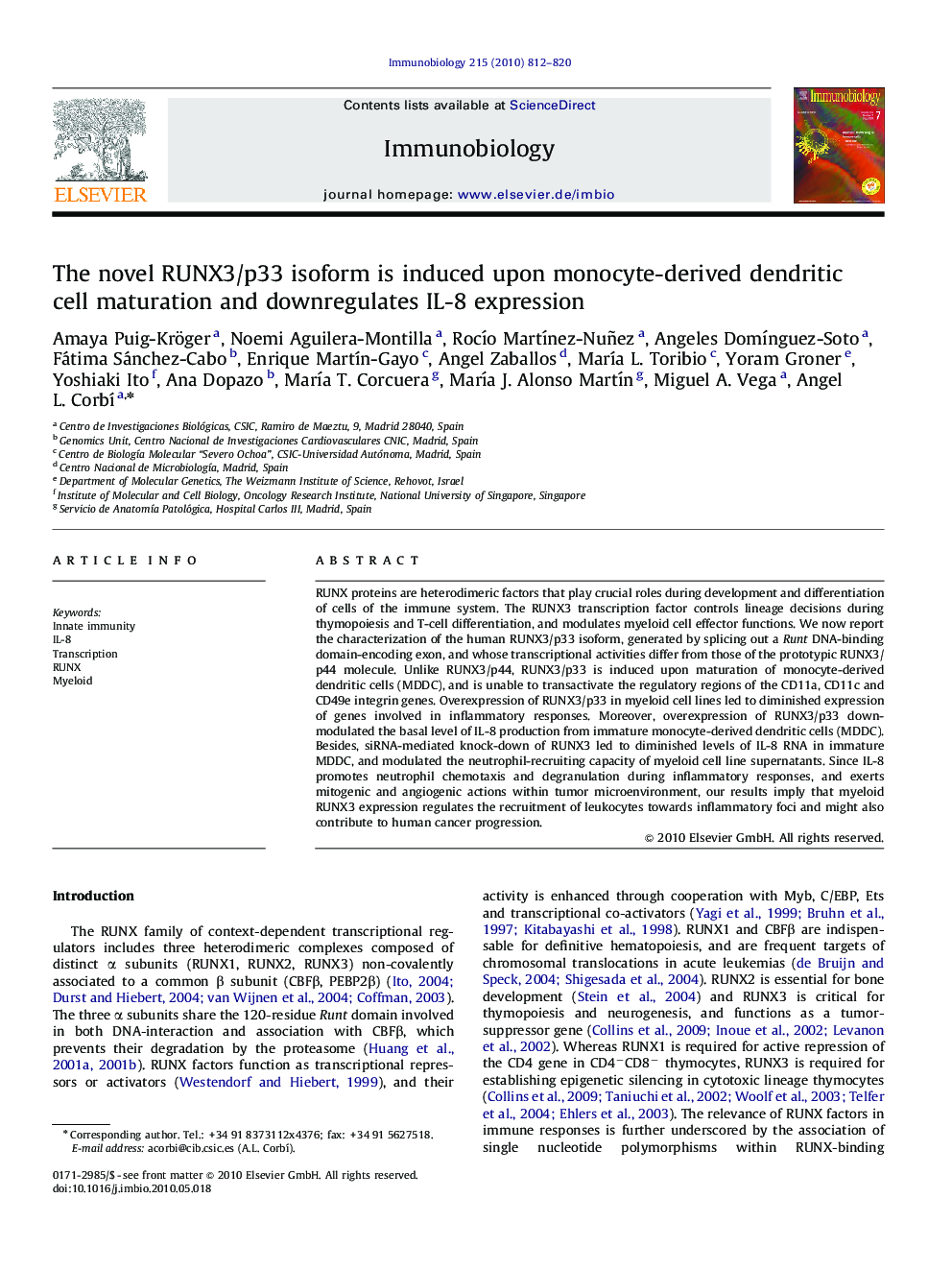 The novel RUNX3/p33 isoform is induced upon monocyte-derived dendritic cell maturation and downregulates IL-8 expression