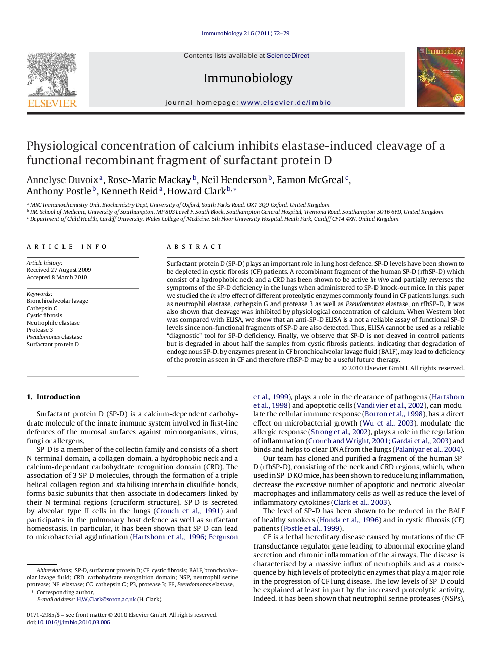 Physiological concentration of calcium inhibits elastase-induced cleavage of a functional recombinant fragment of surfactant protein D