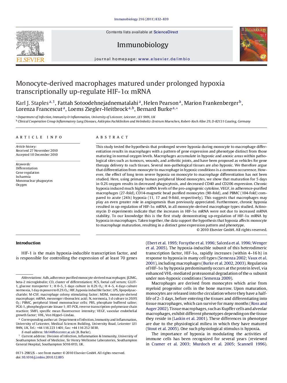 Monocyte-derived macrophages matured under prolonged hypoxia transcriptionally up-regulate HIF-1α mRNA