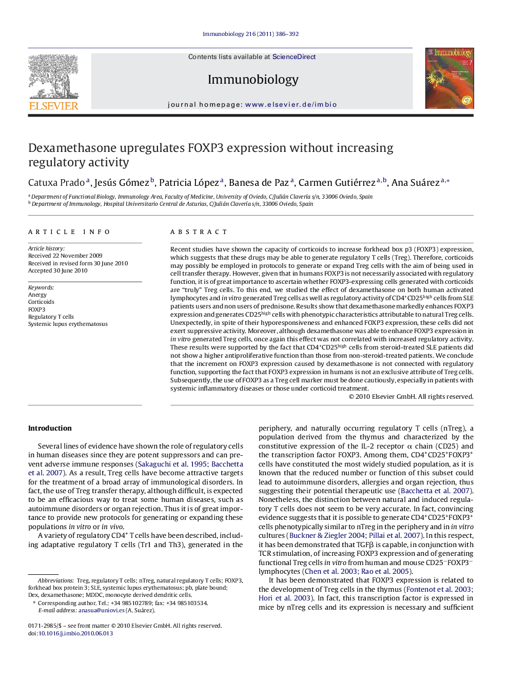 Dexamethasone upregulates FOXP3 expression without increasing regulatory activity