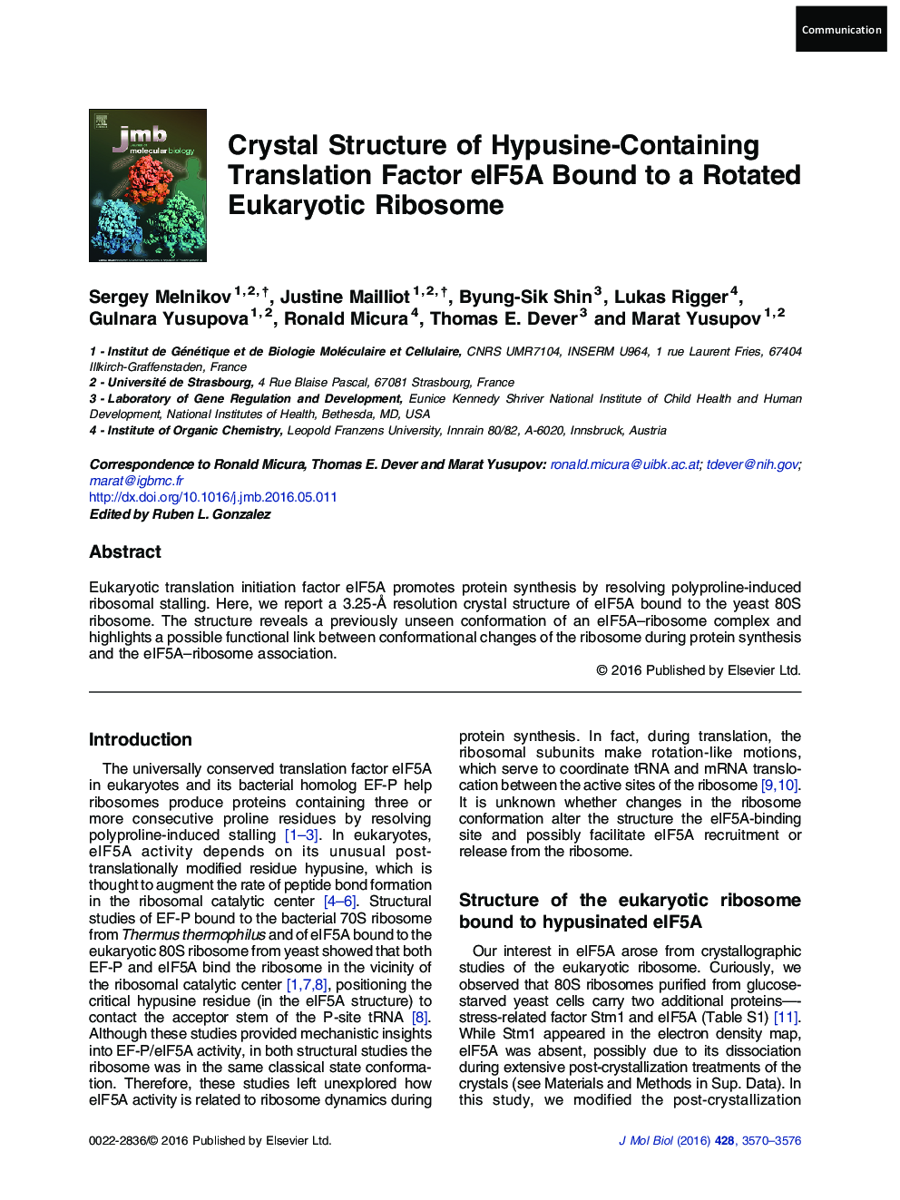 Crystal Structure of Hypusine-Containing Translation Factor eIF5A Bound to a Rotated Eukaryotic Ribosome