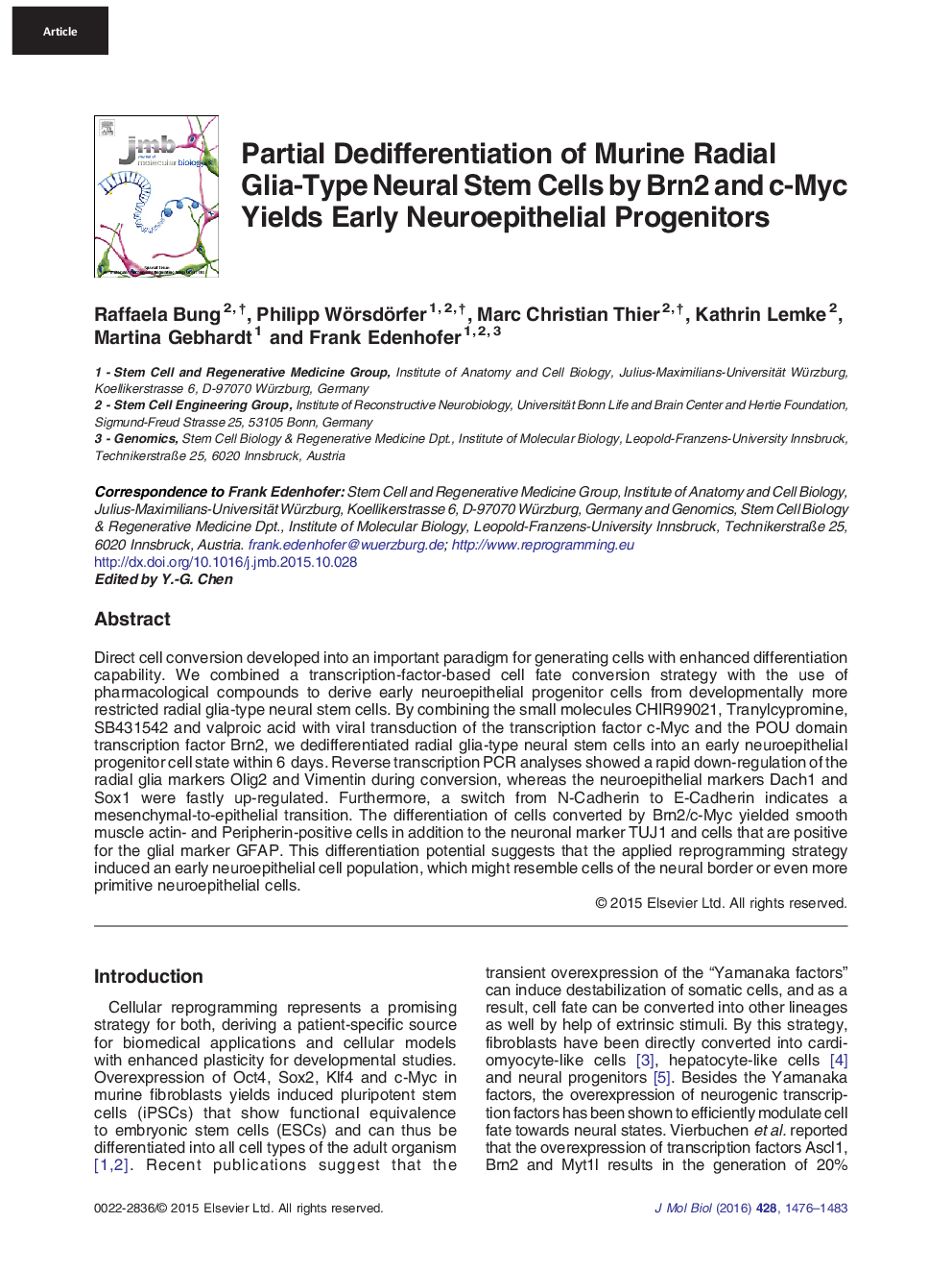 Partial Dedifferentiation of Murine Radial Glia-Type Neural Stem Cells by Brn2 and c-Myc Yields Early Neuroepithelial Progenitors