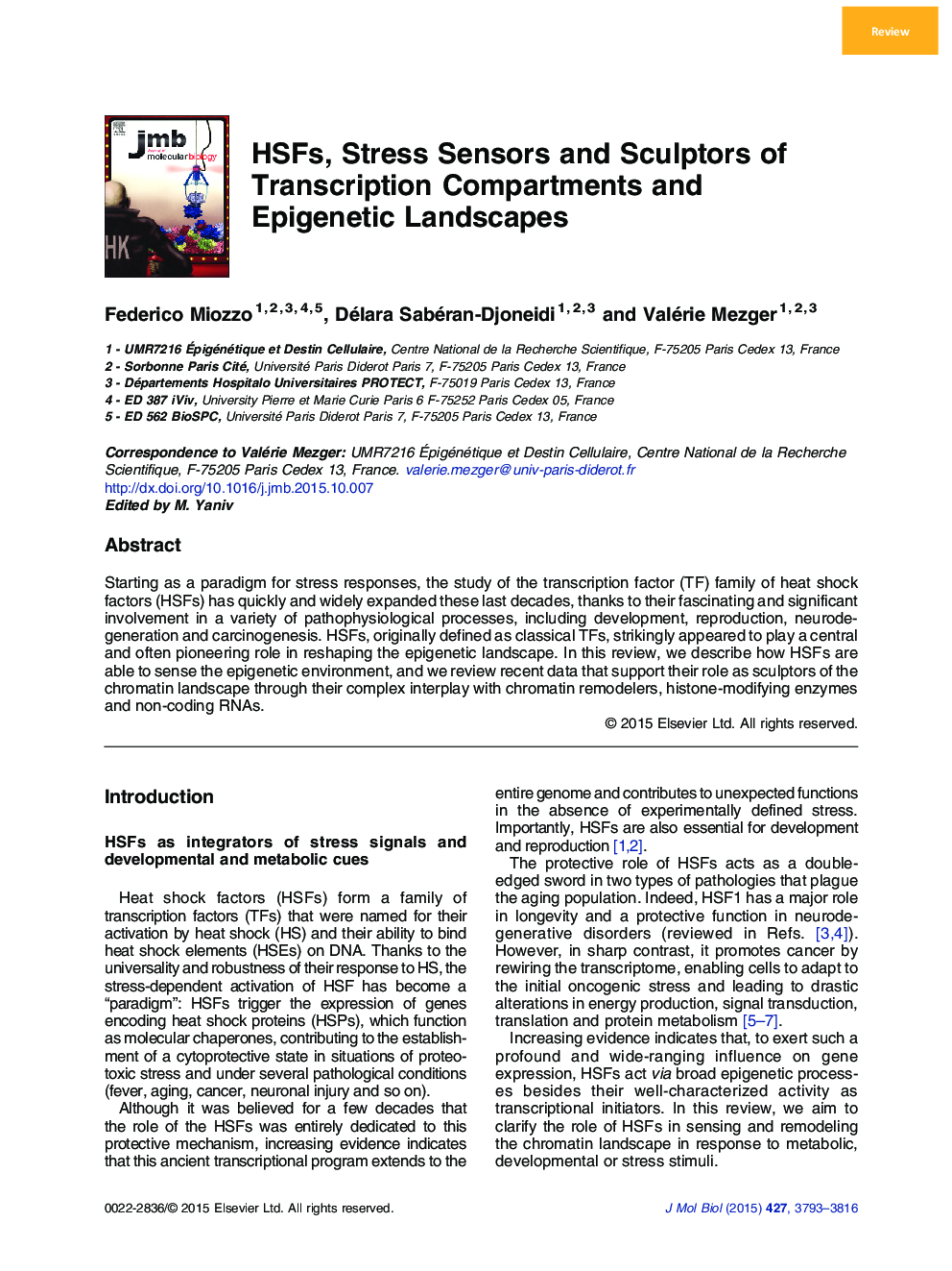 HSFs, Stress Sensors and Sculptors of Transcription Compartments and Epigenetic Landscapes