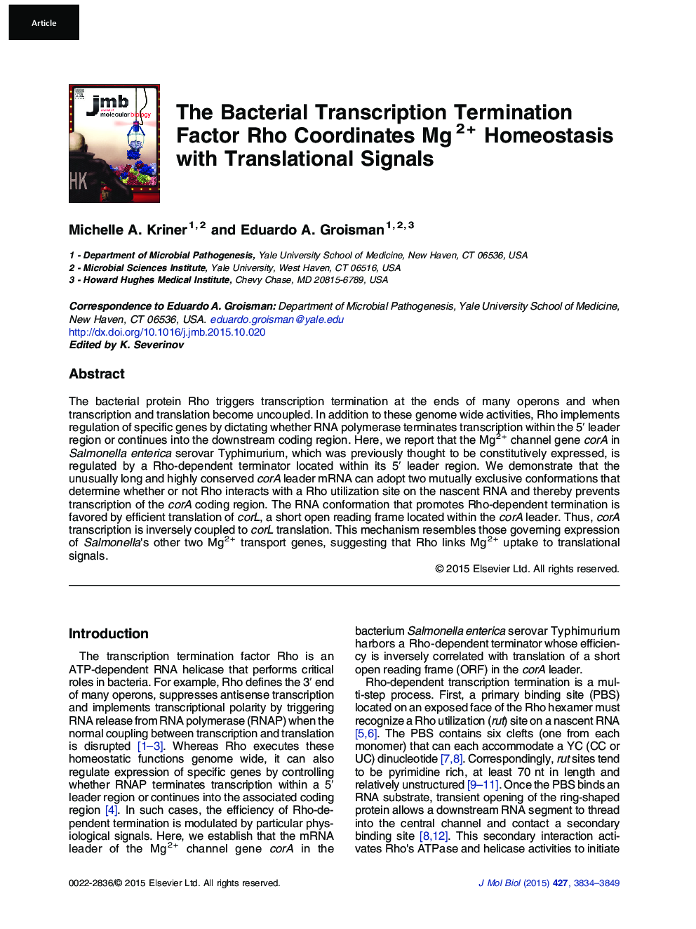 The Bacterial Transcription Termination Factor Rho Coordinates Mg2 + Homeostasis with Translational Signals