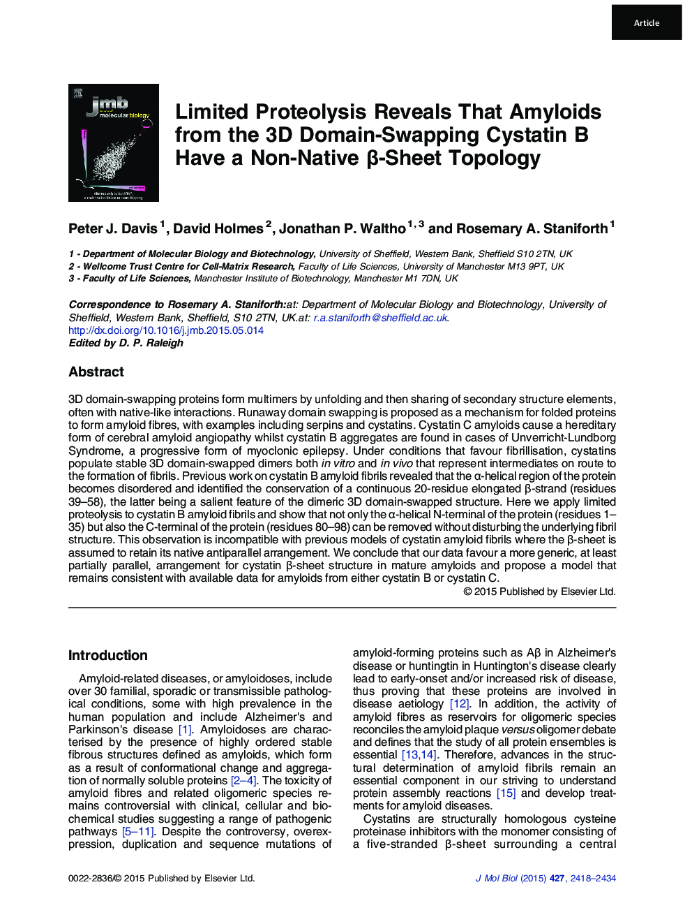 Limited Proteolysis Reveals That Amyloids from the 3D Domain-Swapping Cystatin B Have a Non-Native β-Sheet Topology