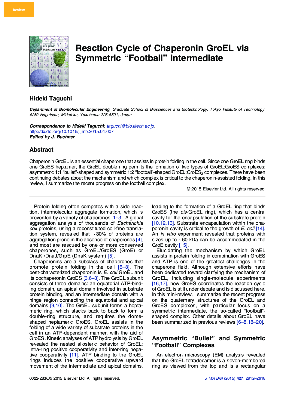 Reaction Cycle of Chaperonin GroEL via Symmetric “Football” Intermediate