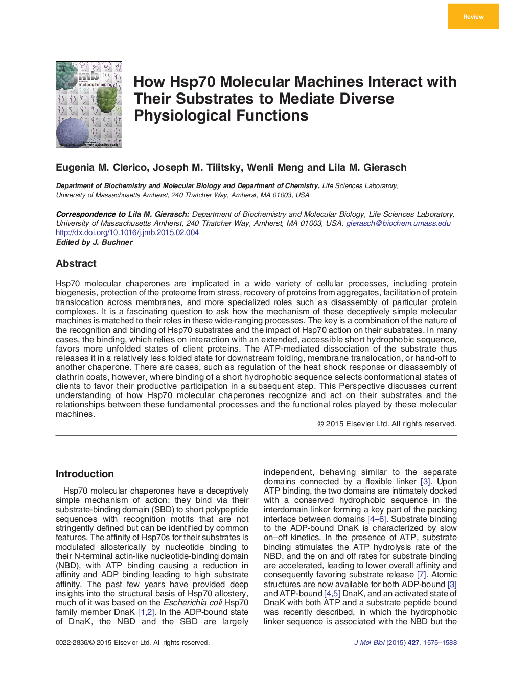 How Hsp70 Molecular Machines Interact with Their Substrates to Mediate Diverse Physiological Functions