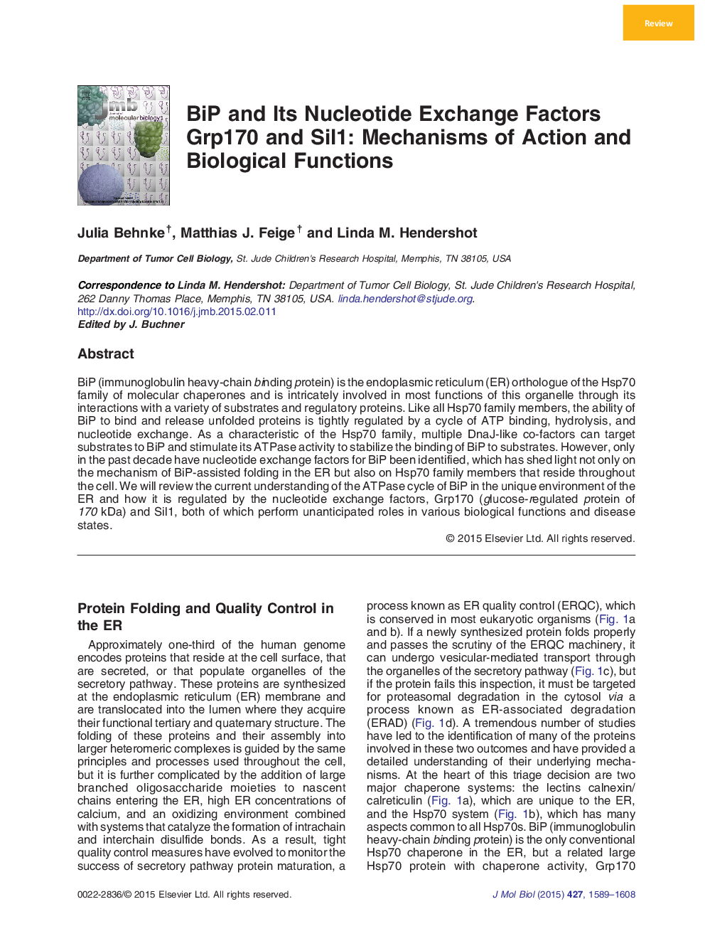 BiP and Its Nucleotide Exchange Factors Grp170 and Sil1: Mechanisms of Action and Biological Functions