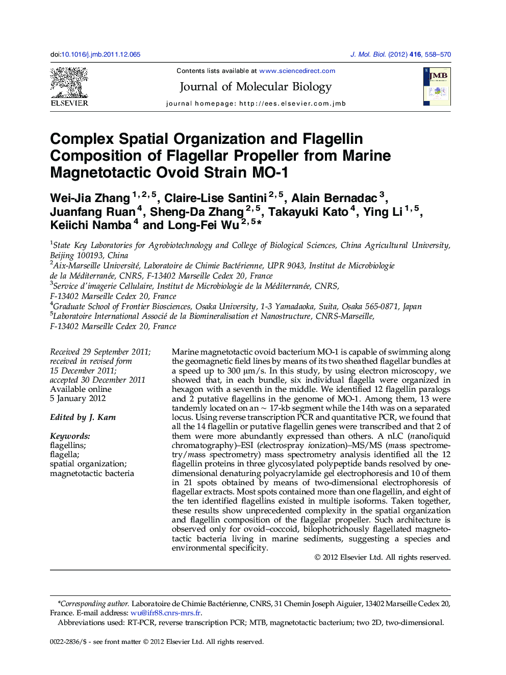 Complex Spatial Organization and Flagellin Composition of Flagellar Propeller from Marine Magnetotactic Ovoid Strain MO-1