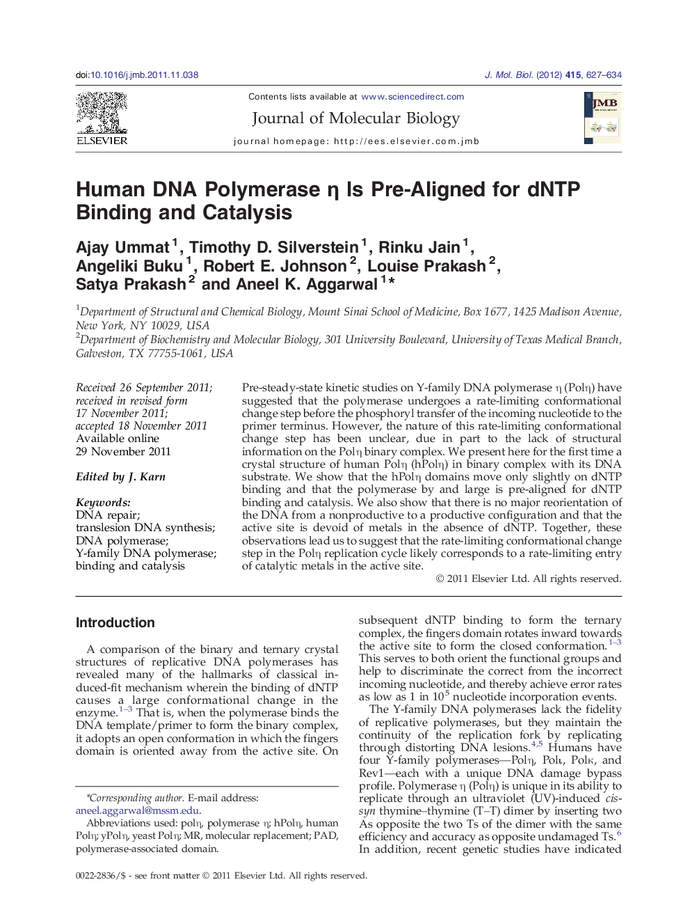 Human DNA Polymerase η Is Pre-Aligned for dNTP Binding and Catalysis