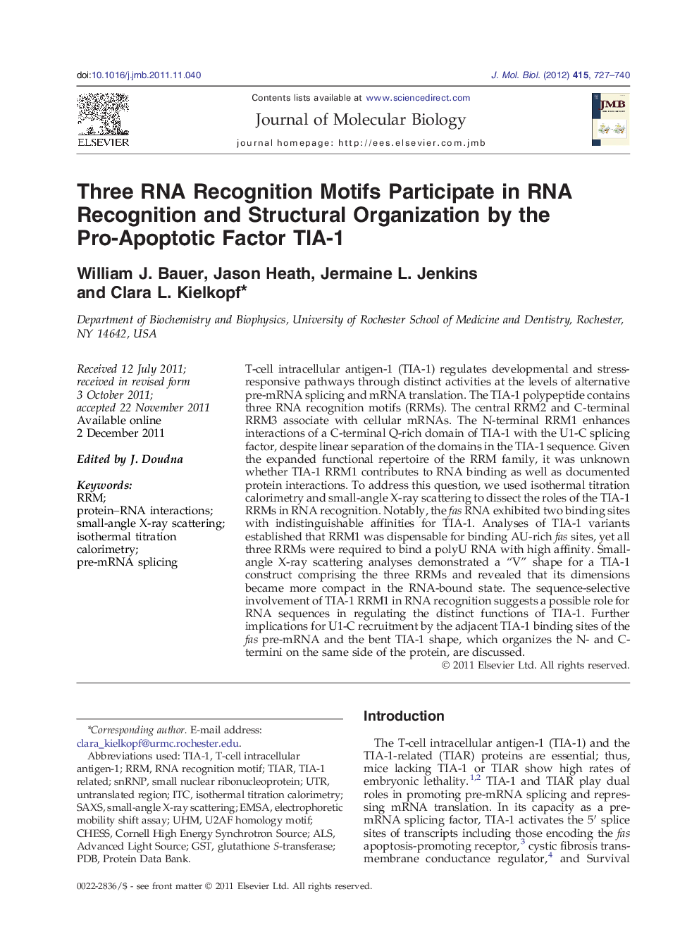 Three RNA Recognition Motifs Participate in RNA Recognition and Structural Organization by the Pro-Apoptotic Factor TIA-1