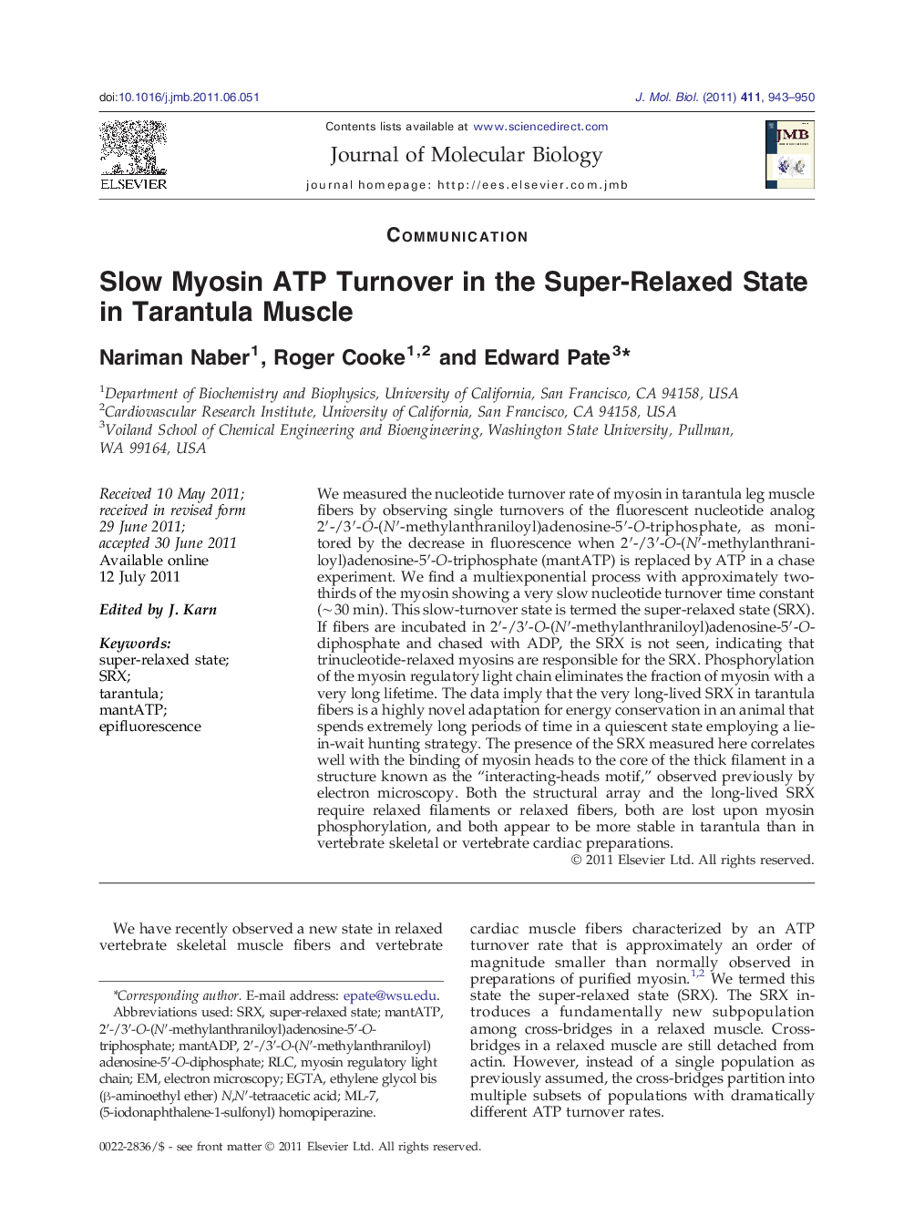 Slow Myosin ATP Turnover in the Super-Relaxed State in Tarantula Muscle