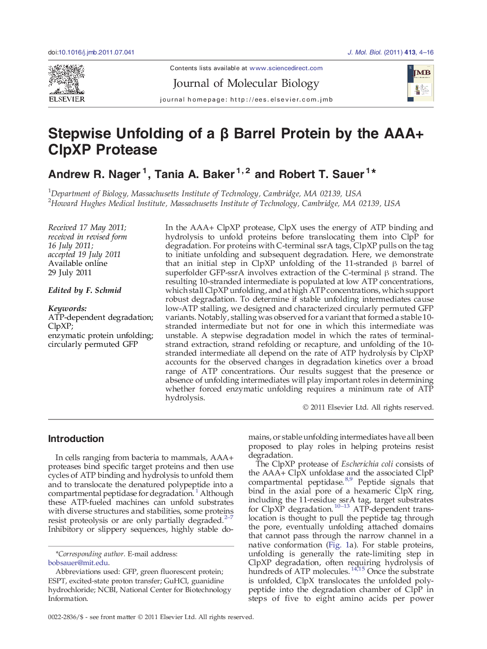 Stepwise Unfolding of a β Barrel Protein by the AAA+ ClpXP Protease