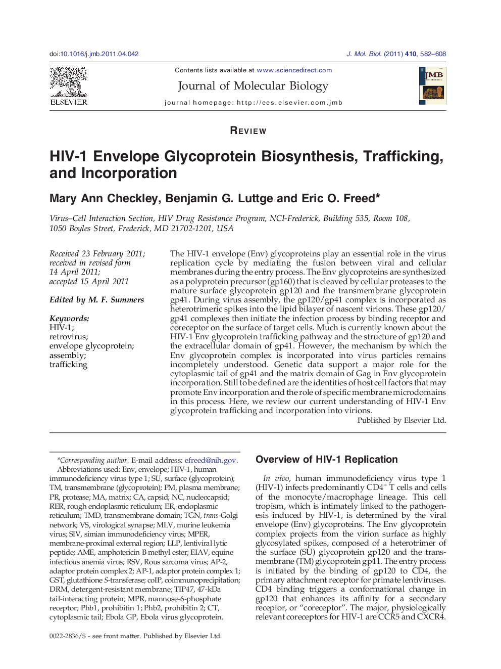 HIV-1 Envelope Glycoprotein Biosynthesis, Trafficking, and Incorporation