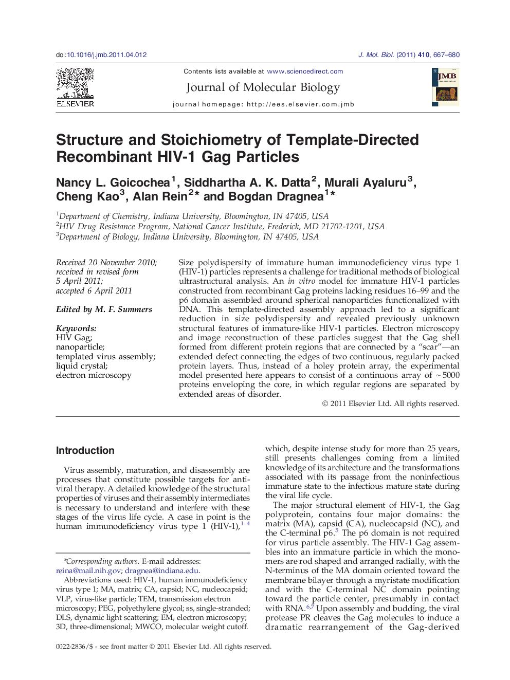 Structure and Stoichiometry of Template-Directed Recombinant HIV-1 Gag Particles