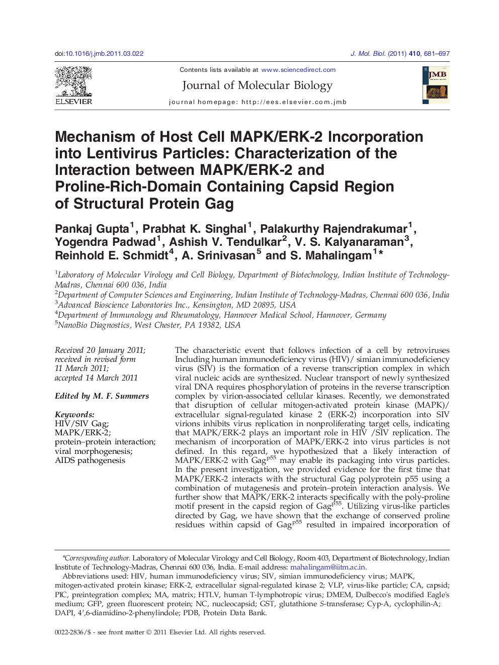 Mechanism of Host Cell MAPK/ERK-2 Incorporation into Lentivirus Particles: Characterization of the Interaction between MAPK/ERK-2 and Proline-Rich-Domain Containing Capsid Region of Structural Protein Gag