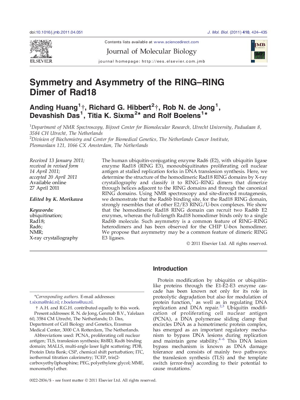 Symmetry and Asymmetry of the RING–RING Dimer of Rad18