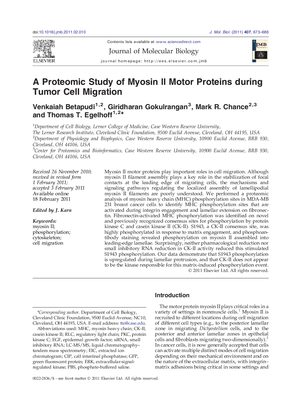 A Proteomic Study of Myosin II Motor Proteins during Tumor Cell Migration