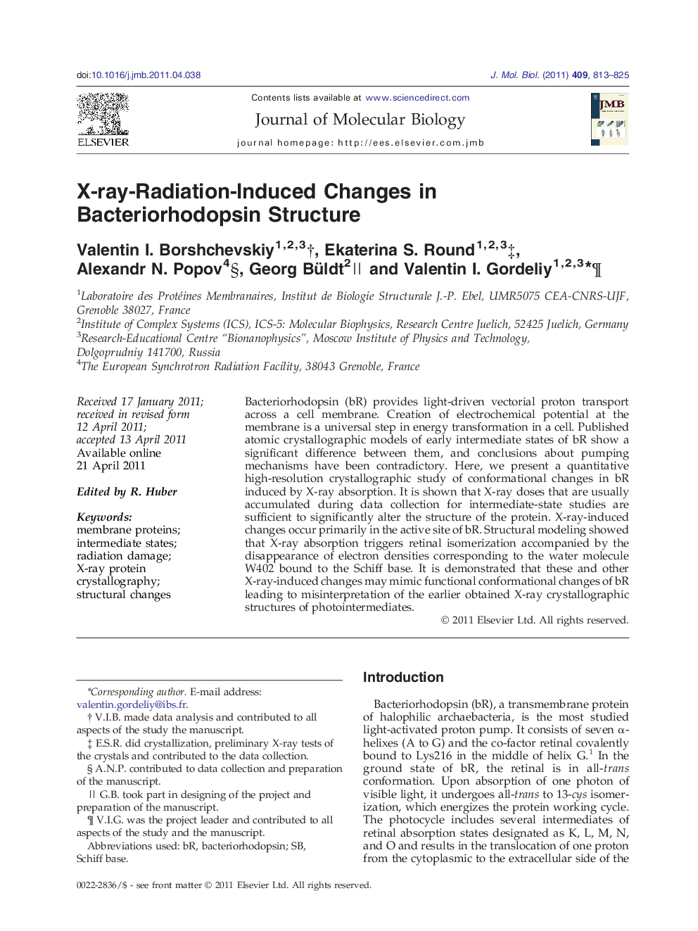 X-ray-Radiation-Induced Changes in Bacteriorhodopsin Structure