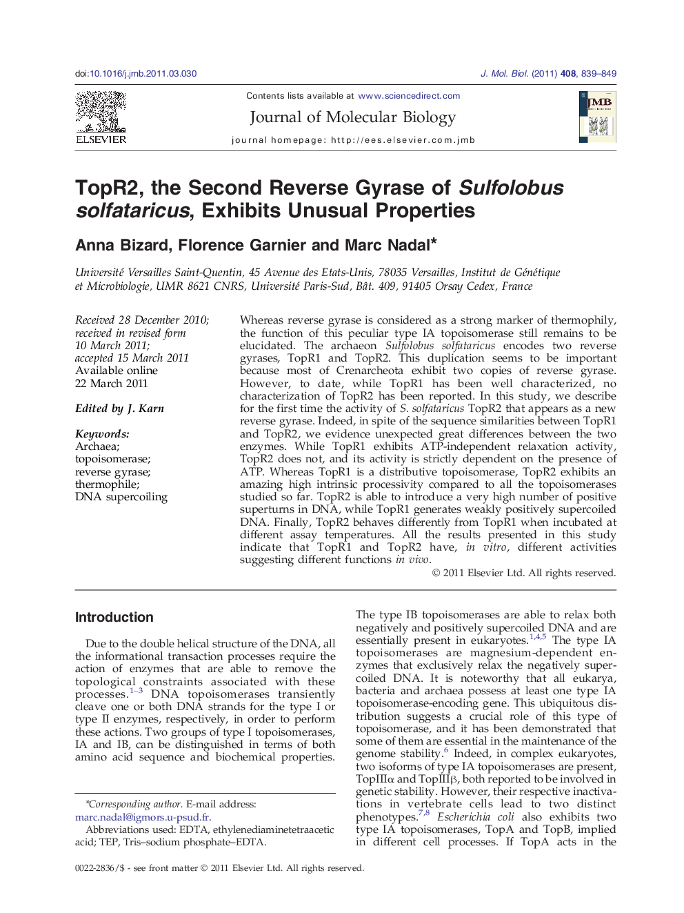 TopR2, the Second Reverse Gyrase of Sulfolobus solfataricus, Exhibits Unusual Properties