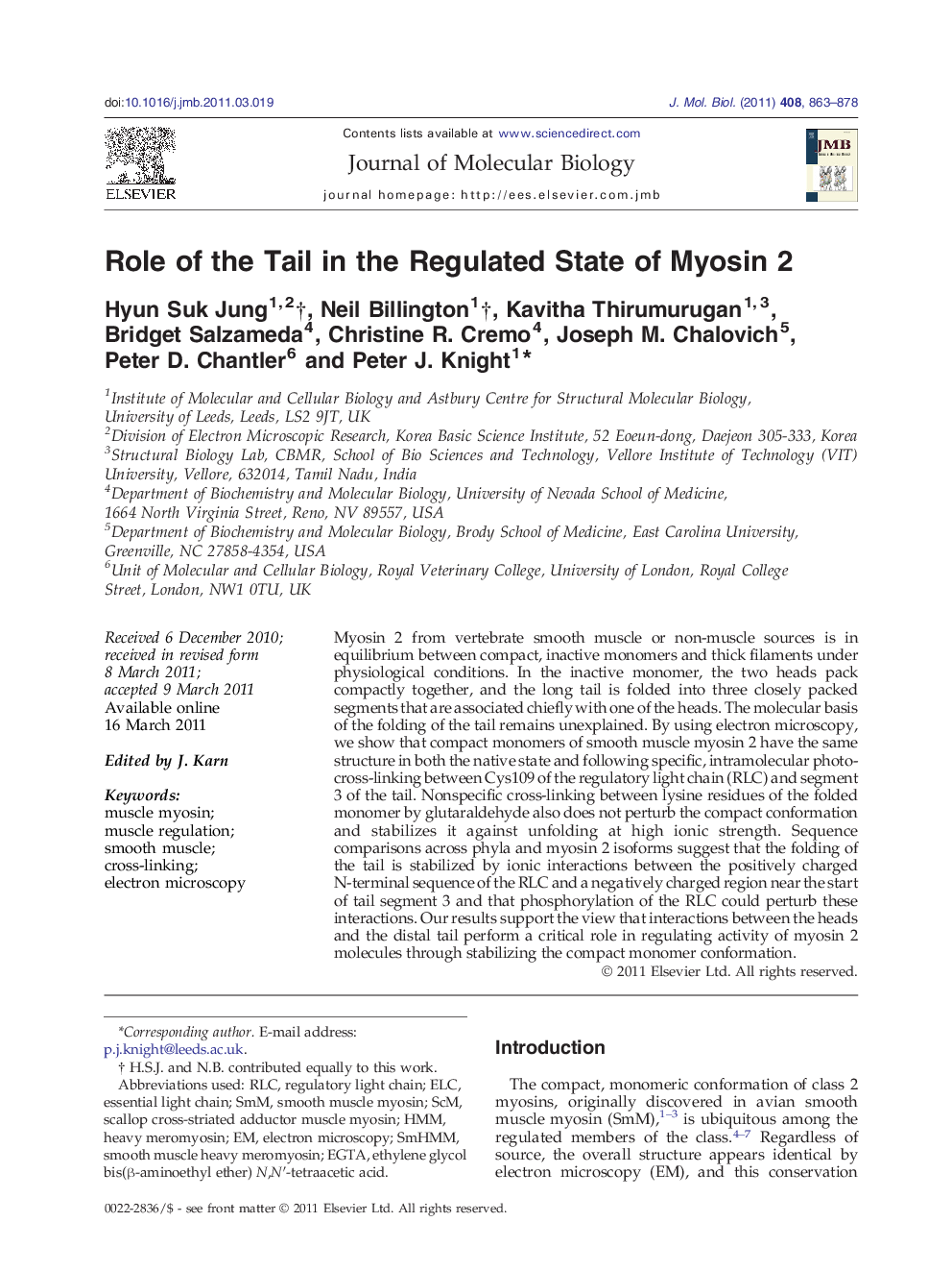 Role of the Tail in the Regulated State of Myosin 2