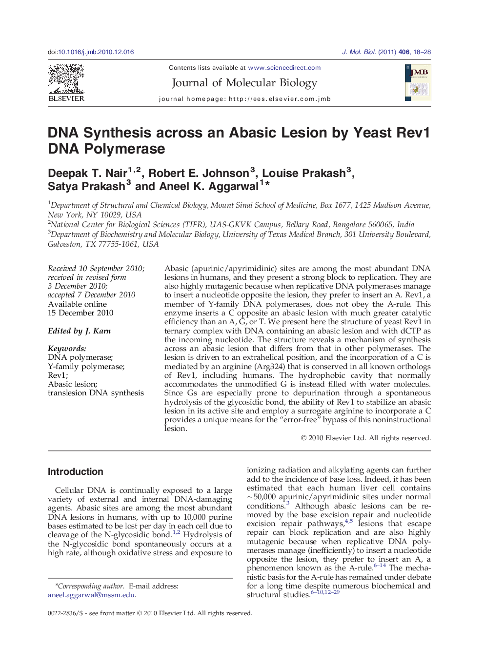 DNA Synthesis across an Abasic Lesion by Yeast Rev1 DNA Polymerase