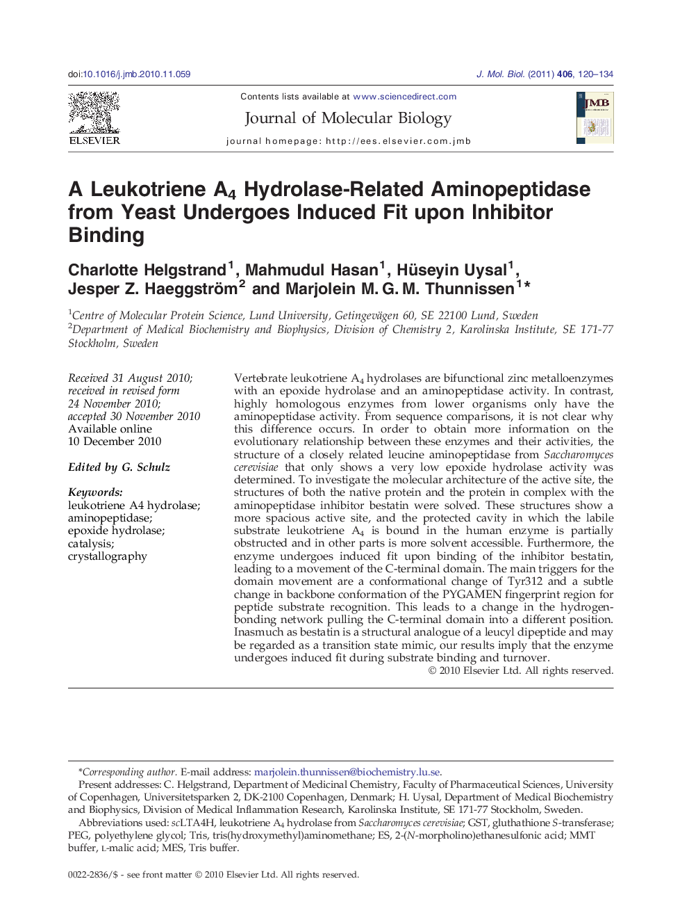 A Leukotriene A4 Hydrolase-Related Aminopeptidase from Yeast Undergoes Induced Fit upon Inhibitor Binding