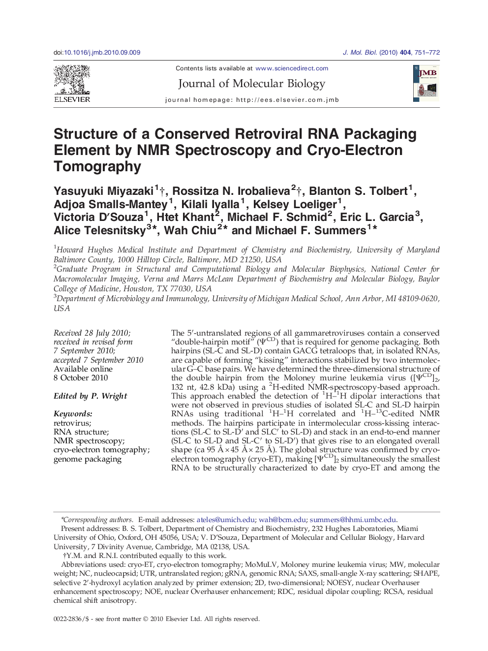 Structure of a Conserved Retroviral RNA Packaging Element by NMR Spectroscopy and Cryo-Electron Tomography