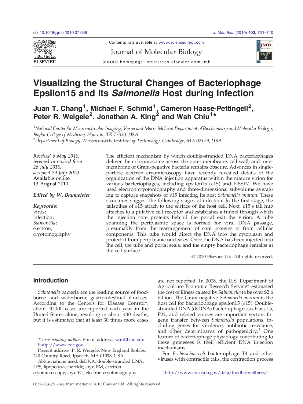 Visualizing the Structural Changes of Bacteriophage Epsilon15 and Its Salmonella Host during Infection