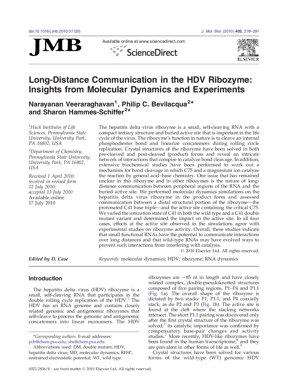 Long-Distance Communication in the HDV Ribozyme: Insights from Molecular Dynamics and Experiments