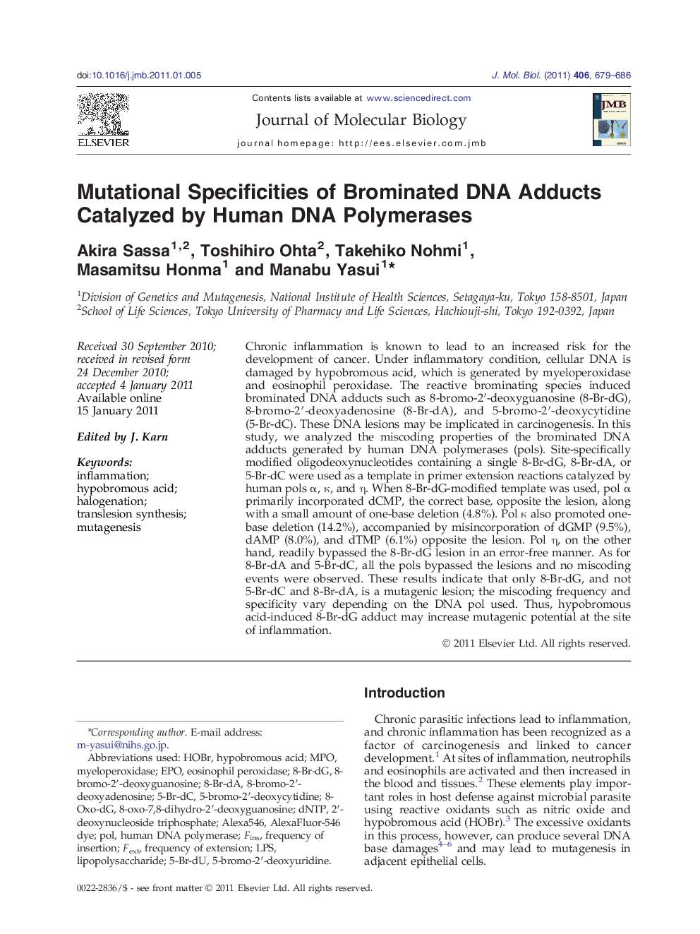 Mutational Specificities of Brominated DNA Adducts Catalyzed by Human DNA Polymerases