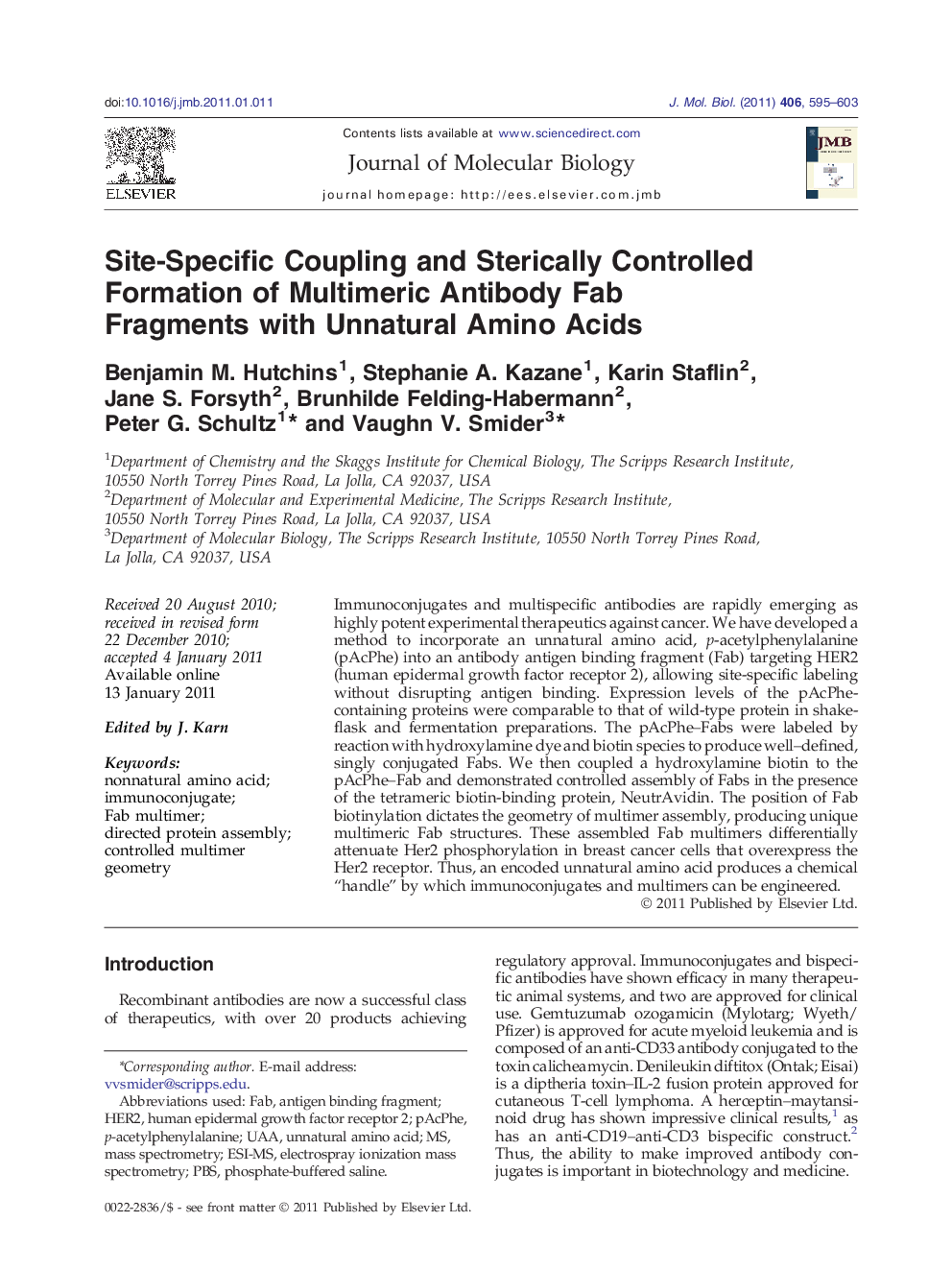 Site-Specific Coupling and Sterically Controlled Formation of Multimeric Antibody Fab Fragments with Unnatural Amino Acids