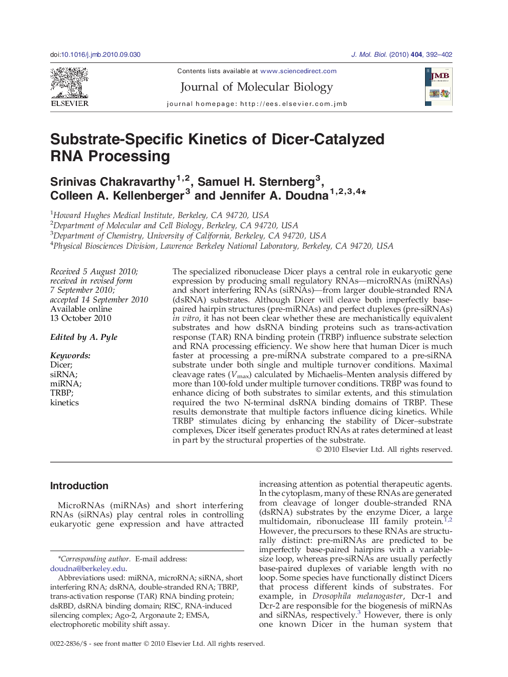 Substrate-Specific Kinetics of Dicer-Catalyzed RNA Processing